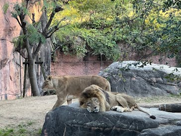 天王寺動物園に投稿された画像（2025/11/23）