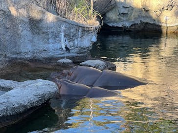天王寺動物園に投稿された画像（2025/11/23）