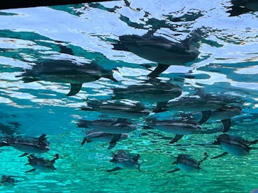 天王寺動物園に投稿された画像（2025/11/23）