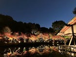 名古屋市東山動植物園に投稿された画像（2025/11/23）