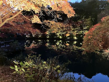 名古屋市東山動植物園に投稿された画像（2025/11/23）