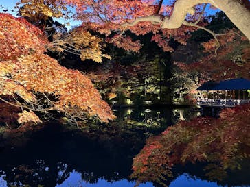 名古屋市東山動植物園に投稿された画像（2025/11/23）