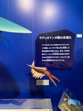 特別展「大絶滅展―生命史のビッグファイブ」に投稿された画像（2025/11/23）