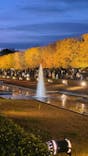 国営昭和記念公園 秋の夜散歩に投稿された画像（2025/11/23）