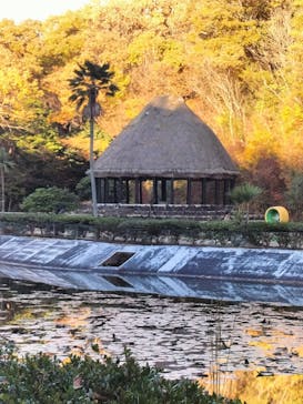 野外民族博物館 リトルワールドに投稿された画像（2025/11/23）