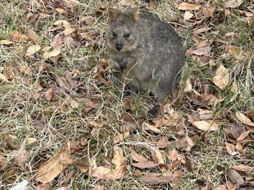 こども動物自然公園（埼玉県公園緑地協会）に投稿された画像（2025/11/23）