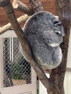 こども動物自然公園（埼玉県公園緑地協会）に投稿された画像（2025/11/23）