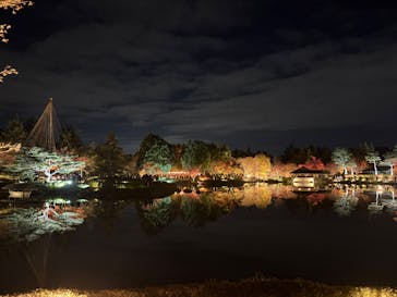 国営昭和記念公園 秋の夜散歩に投稿された画像（2025/11/23）