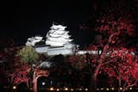 Himeji Castle of Light『DANDELION PROJECT 姫路城×NAKED, INC.』に投稿された画像（2025/11/23）
