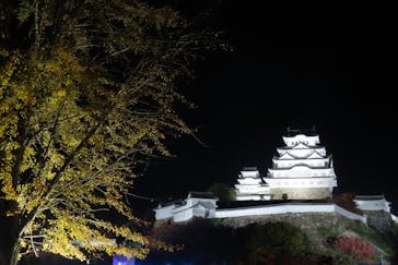 Himeji Castle of Light『DANDELION PROJECT 姫路城×NAKED, INC.』に投稿された画像（2025/11/23）