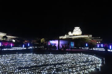 Himeji Castle of Light『DANDELION PROJECT 姫路城×NAKED, INC.』に投稿された画像（2025/11/23）