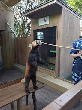 横浜・八景島シーパラダイスに投稿された画像（2025/11/23）