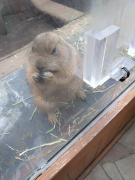 横浜・八景島シーパラダイスに投稿された画像（2025/11/23）