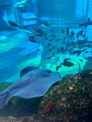 九十九島パールシーリゾートに投稿された画像（2025/11/23）