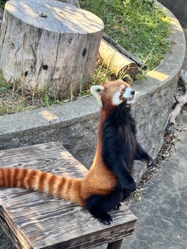 九十九島パールシーリゾートに投稿された画像（2025/11/23）