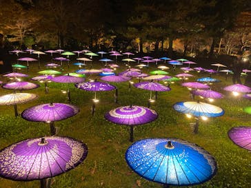 国営昭和記念公園 秋の夜散歩に投稿された画像（2025/11/23）