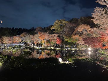 国営昭和記念公園 秋の夜散歩に投稿された画像（2025/11/23）