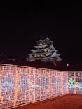 大阪城イルミナージュに投稿された画像（2025/11/23）