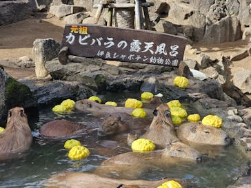 伊豆シャボテン動物公園に投稿された画像（2025/11/23）