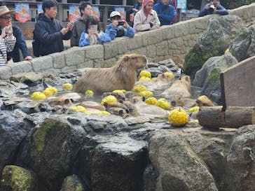 伊豆シャボテン動物公園に投稿された画像（2025/11/23）