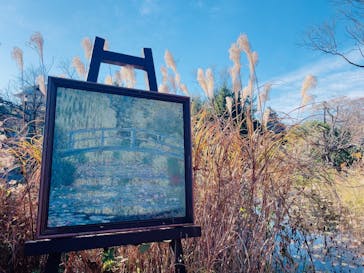 ガーデンミュージアム比叡に投稿された画像（2025/11/23）