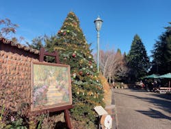 ガーデンミュージアム比叡に投稿された画像（2025/11/23）