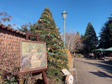 ガーデンミュージアム比叡に投稿された画像（2025/11/23）