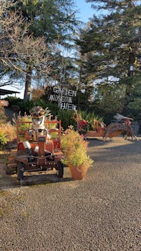 ガーデンミュージアム比叡に投稿された画像（2025/11/23）