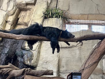 那須どうぶつ王国に投稿された画像（2025/11/23）