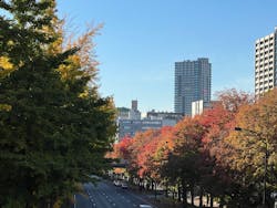 藤田嗣治　絵画と写真に投稿された画像（2025/11/23）