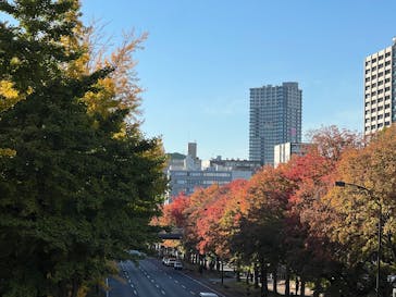 藤田嗣治　絵画と写真に投稿された画像（2025/11/23）