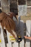 宇都宮動物園に投稿された画像（2025/11/23）