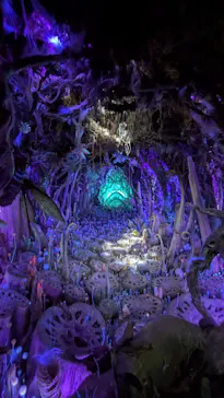 金曜ロードショーとジブリ展（静岡展）に投稿された画像（2025/11/23）