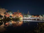 国営昭和記念公園 秋の夜散歩に投稿された画像（2025/11/23）