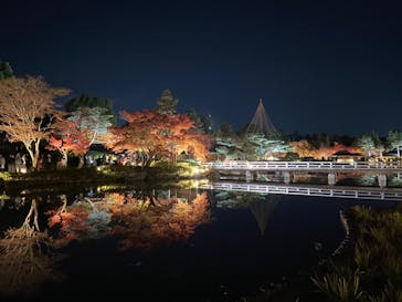 国営昭和記念公園 秋の夜散歩に投稿された画像（2025/11/23）