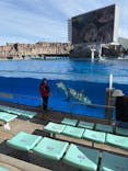 名古屋港水族館に投稿された画像（2025/11/23）
