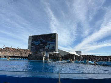 名古屋港水族館に投稿された画像（2025/11/23）