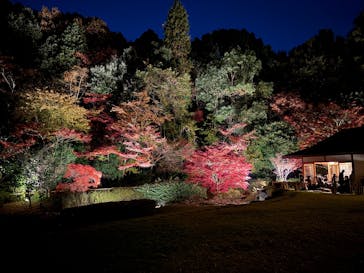名古屋市東山動植物園に投稿された画像（2025/11/23）