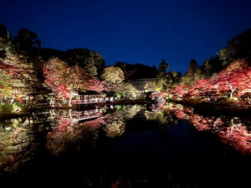 名古屋市東山動植物園に投稿された画像（2025/11/23）