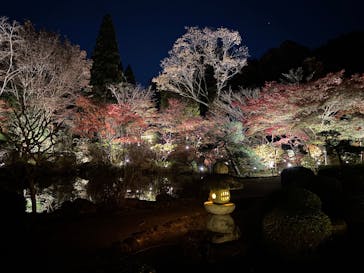 名古屋市東山動植物園に投稿された画像（2025/11/23）