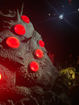 金曜ロードショーとジブリ展（静岡展）に投稿された画像（2025/11/23）