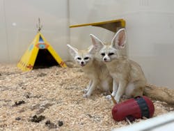 アニタッチみなとみらいに投稿された画像（2025/11/23）