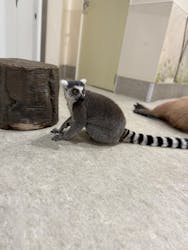 アニタッチみなとみらいに投稿された画像（2025/11/23）