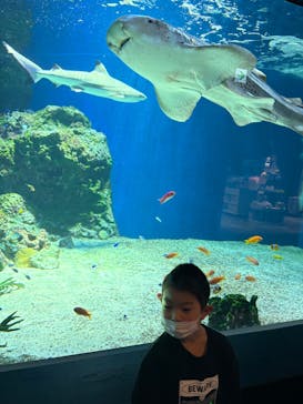 マクセル アクアパーク品川に投稿された画像（2025/11/23）