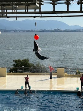 マリンワールド海の中道に投稿された画像（2025/11/23）