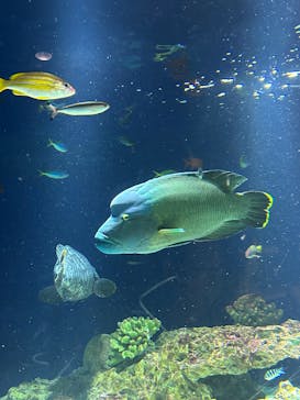 マリンワールド海の中道に投稿された画像（2025/11/23）