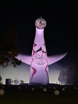 万博夜空がアートになる日に投稿された画像（2025/11/23）