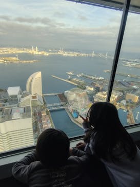 横浜ランドマークタワー 69階展望フロア スカイガーデンに投稿された画像（2025/11/23）