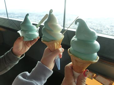 横浜ランドマークタワー 69階展望フロア スカイガーデンに投稿された画像（2025/11/23）