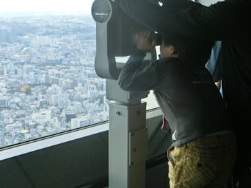 横浜ランドマークタワー 69階展望フロア スカイガーデンに投稿された画像（2025/11/23）